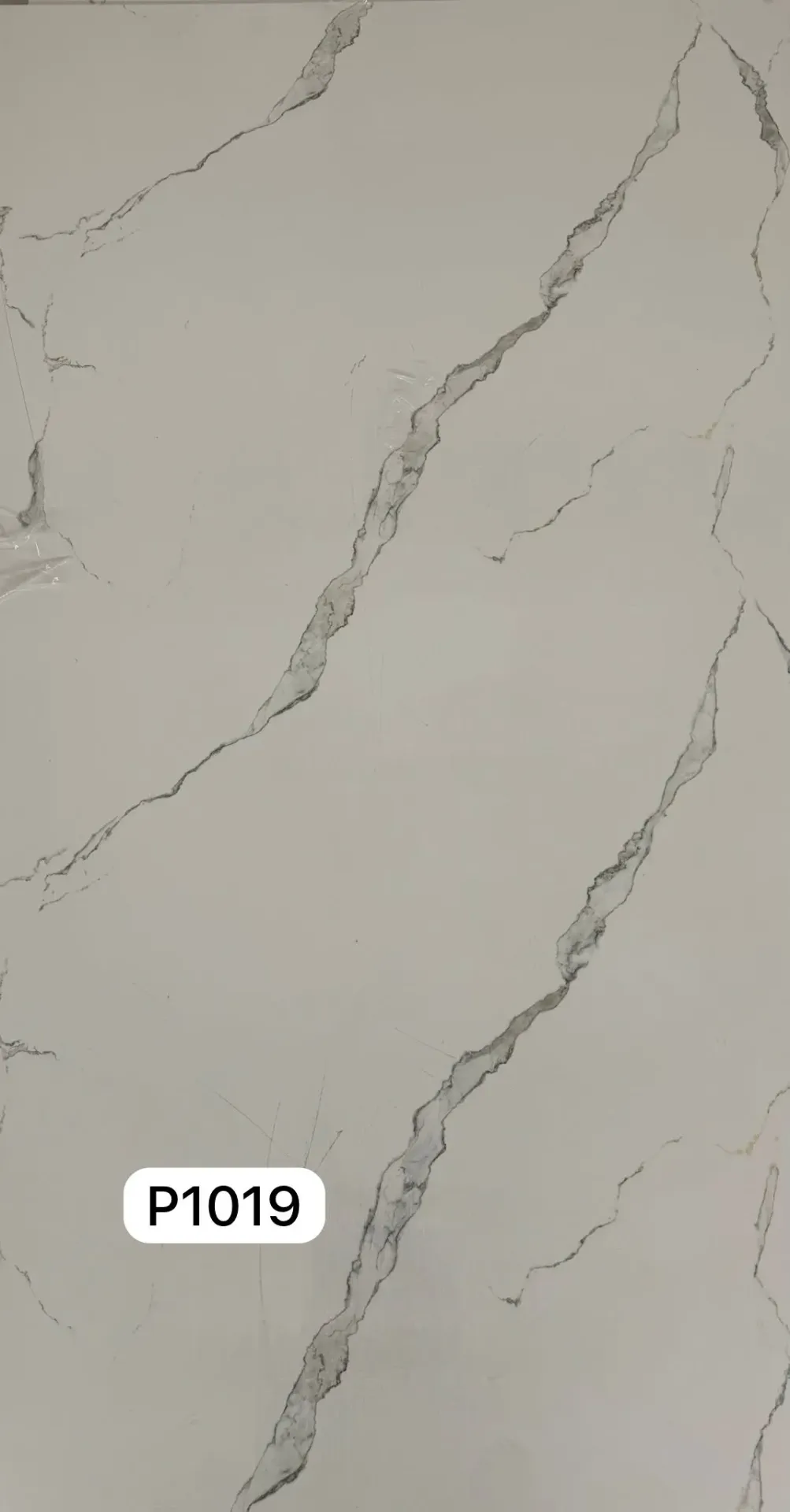 [P1019] PAINEL PVC P1019