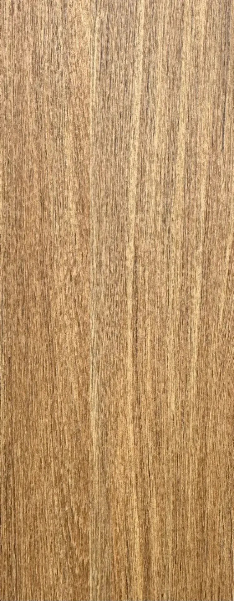 [GCR0003] RODAPÉ CARVALHO MARLIN